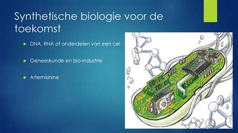  Kinetische Nanosferen: De Toekomst van Precieze Materiaalafgifte in Geneeskunde en Industrie?