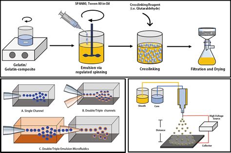  Gelatine: Een Biomateriaal Wonder met Toepassingen in Weefselengineering en Farmaceutische Afgifte!