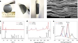 Molybdenum Disulfide voor Verbeterde Batterijprestaties en Zonnecellen!